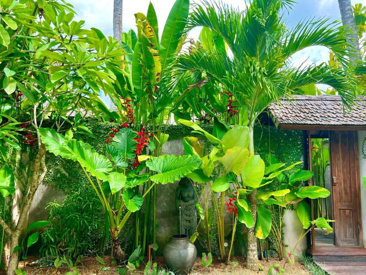 Jati Kuta Lombok Otel Dış mekan fotoğraf